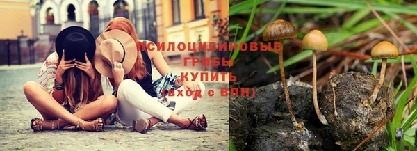 прущая мука Алзамай