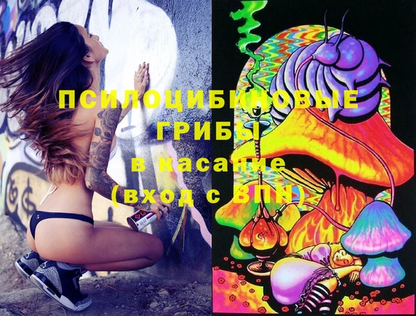 гидропоника Пестово