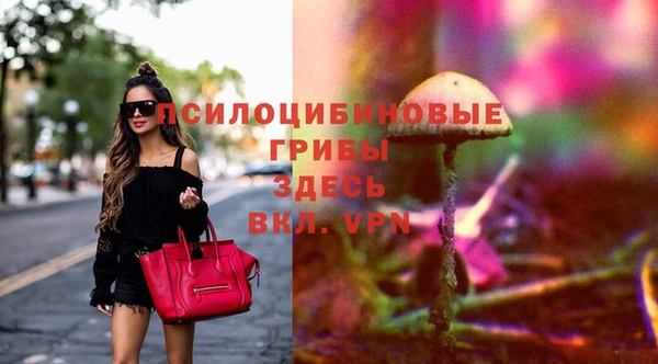 герыч Алексин