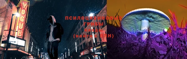 герыч Алексин