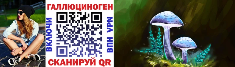 Псилоцибиновые грибы прущие грибы  Сим 
